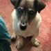 Andrew Tolson - Facebook