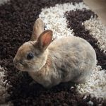 Andrew Tomaszewski - @tomaszewskiandrew - Instagram