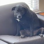 Andrew Tomaszewski - @andrew_tomaszewski20 - Instagram