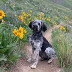 Andrew Toth - Facebook