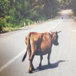 Andrew Totten - @tottsthefun - Instagram
