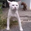 andrew.traviss - @andrew.traviss - TikTok