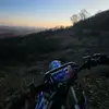 andrew tribe - @xandrew_t - TikTok