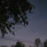 Andrew Tribe - @andrew._.tribe - Instagram