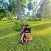 Andrew Tuson - Facebook