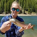 Andrew Upson - @robotgrrrr - Instagram