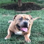 Andrew Valerio - @andrew_valerio27 - Instagram