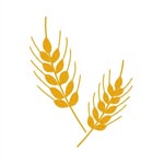 Andrew Valerio & Sons Funerals - @avsfunerals - Instagram