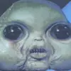 Andrew_van - @user343915014604884 - TikTok