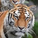 andrewvarney - @andrewvarney3 - Instagram