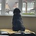 Andy Veale - Facebook