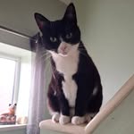 Andrew Wain - @wain6383 - Instagram
