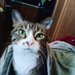 Andrew Bradley Waits - @waitsandrew - Instagram