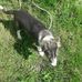 Andrew Wakeling - Facebook