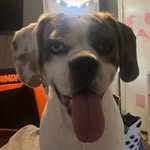 Andrew Walbridge - @_.drew379._ - Instagram