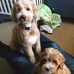 Andrew Waldman - @andrew.waldman - Instagram