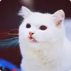 andrewwales93 - @andrewwales93 - TikTok