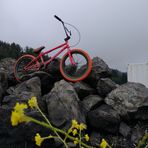 Andrew Wally - Facebook
