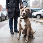 Andrew Walther - @andrew_walther - Instagram