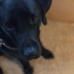 Andrew Wanner - @adwanner399 - Instagram