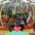 Endri Warman - Facebook
