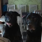 Barry Andrew Wareing - @wareingbarry - Instagram