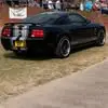 Andrew Warman - @andrew.warman - TikTok