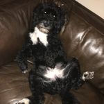 @andrewwarman - Instagram