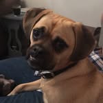 Andrew Warnes - @warnes68 - Instagram