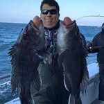 Andrew Bongiorno - @andrew.warrior.bongiorno - Instagram