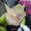 Andrew Warthan - @andrewwarthan - TikTok