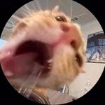 Andrew Watterson - @_waz06_ - Instagram