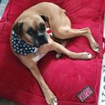 Andrew J. Weakley - @andrewj.weakley - Instagram