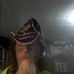 Andrew Weakley - Facebook