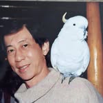 Andrew Wee - @andrew.wee.3 - Instagram