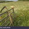 Andrew Wei - @andrew01033 - TikTok