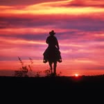 Andrew Weisberg - @andrew.weisberg - Instagram