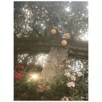 weitzel andrew - @weitzel.andrew - Instagram