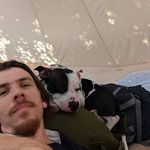 Andrew Westfall - @westfall8421 - Instagram