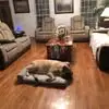 Andrew Whaley - @andrew.whaley6 - TikTok