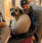 Andrew Whaley - Facebook