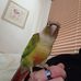 Andrew Wheaton - Facebook