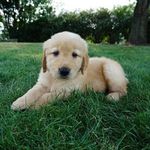 Andrew Whipkey - @whipkeyandrew - Instagram