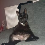 Andrew Whitfield - @andrewwhitfield54 - Instagram