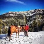 Andrew Wicks - @ndrwwicks - Instagram