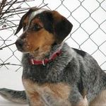 Andrew Wilbur - @wilbur_andrew - Instagram