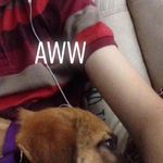 Andrew Willard - @bountyhunter350 - Instagram
