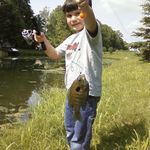 Andrew Willard - @andrew81005 - Instagram