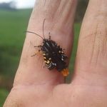 andrew murray Willcox - @andrewmurraywillcox - Instagram