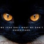 Andrew Willmott - @willmott638 - Instagram